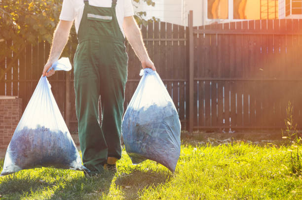 Best Professional Junk Removal  in Reese, MI
