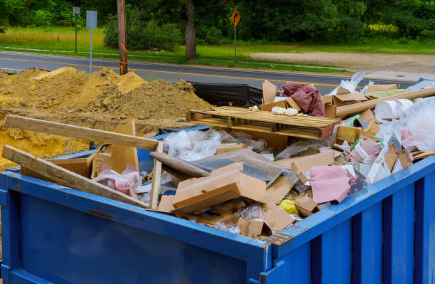Yard Cleanup Services in Reese, MI